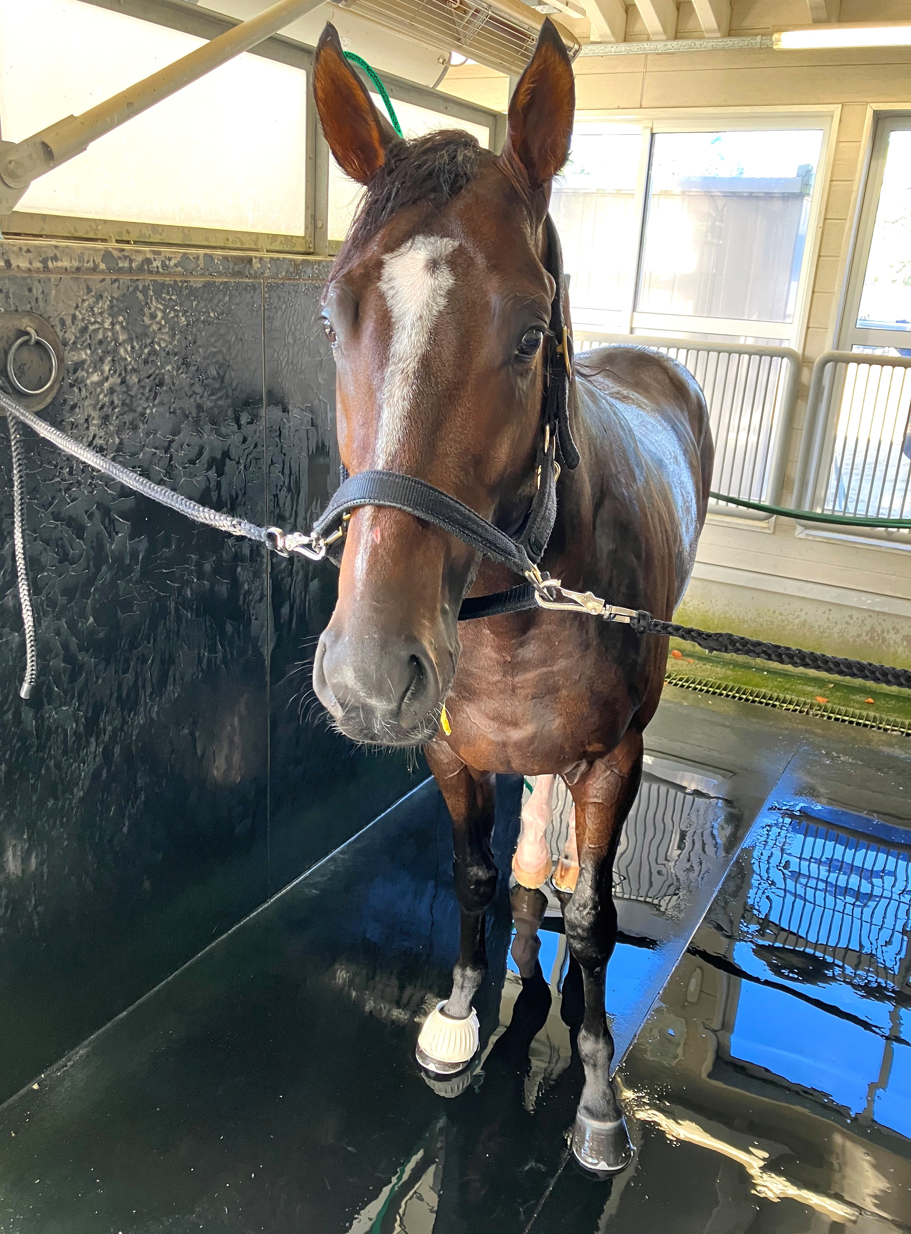 画像サムネイル