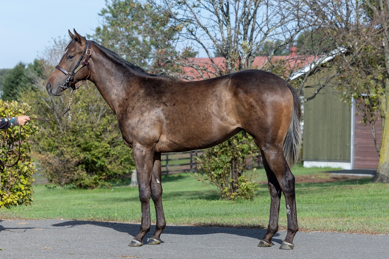 画像サムネイル