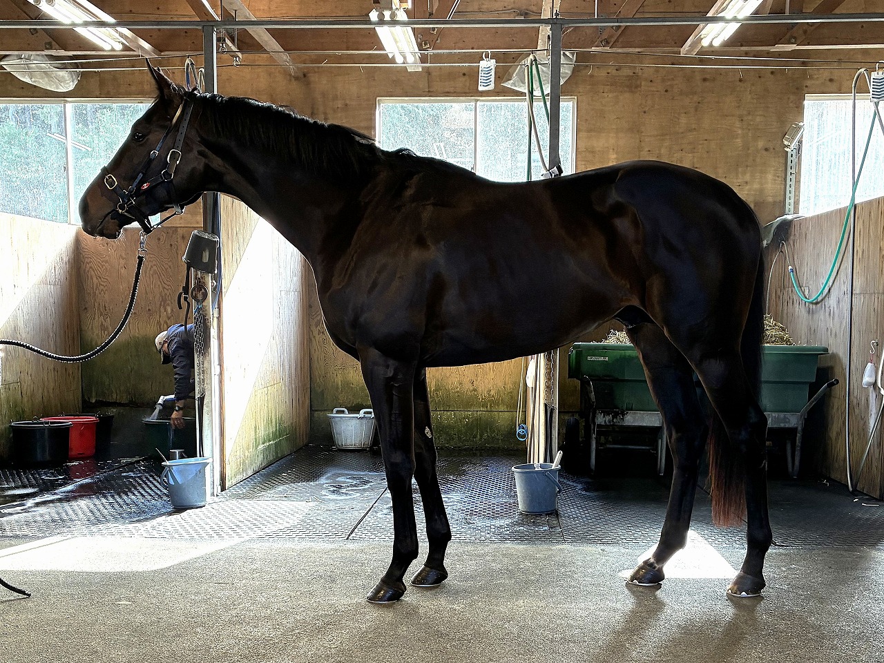 画像サムネイル