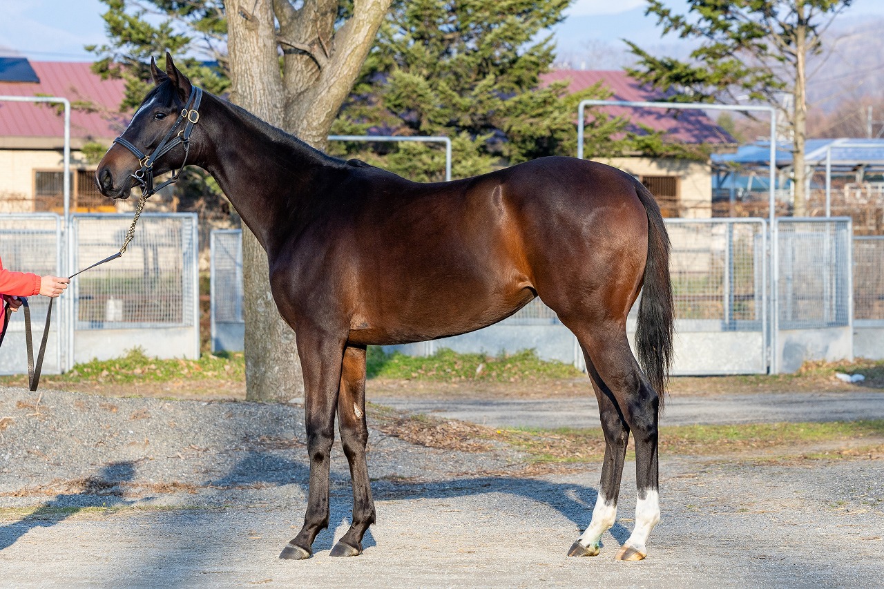 画像サムネイル