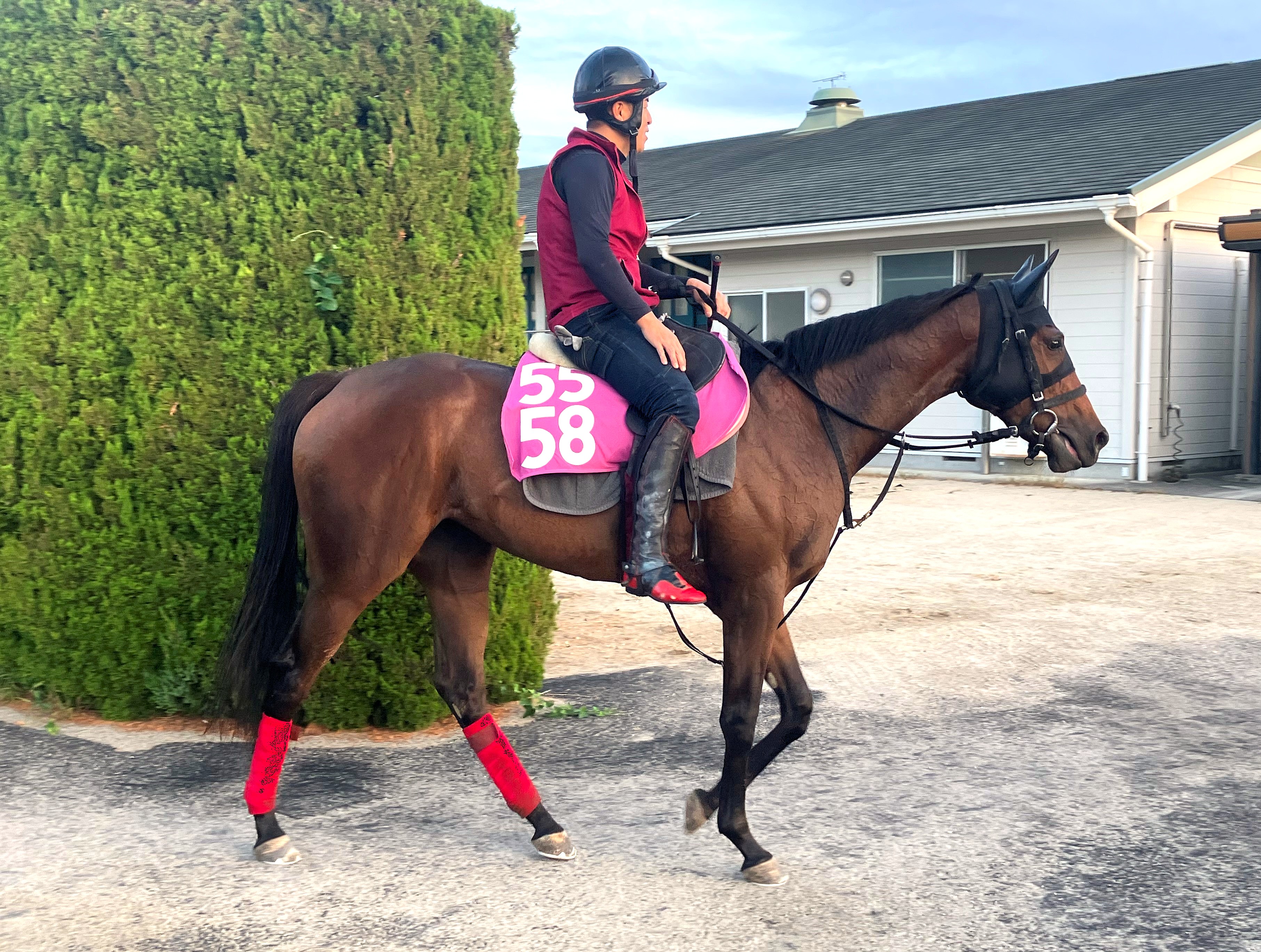 画像サムネイル