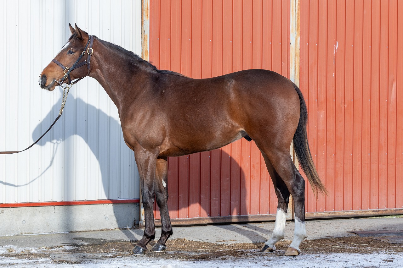 画像サムネイル