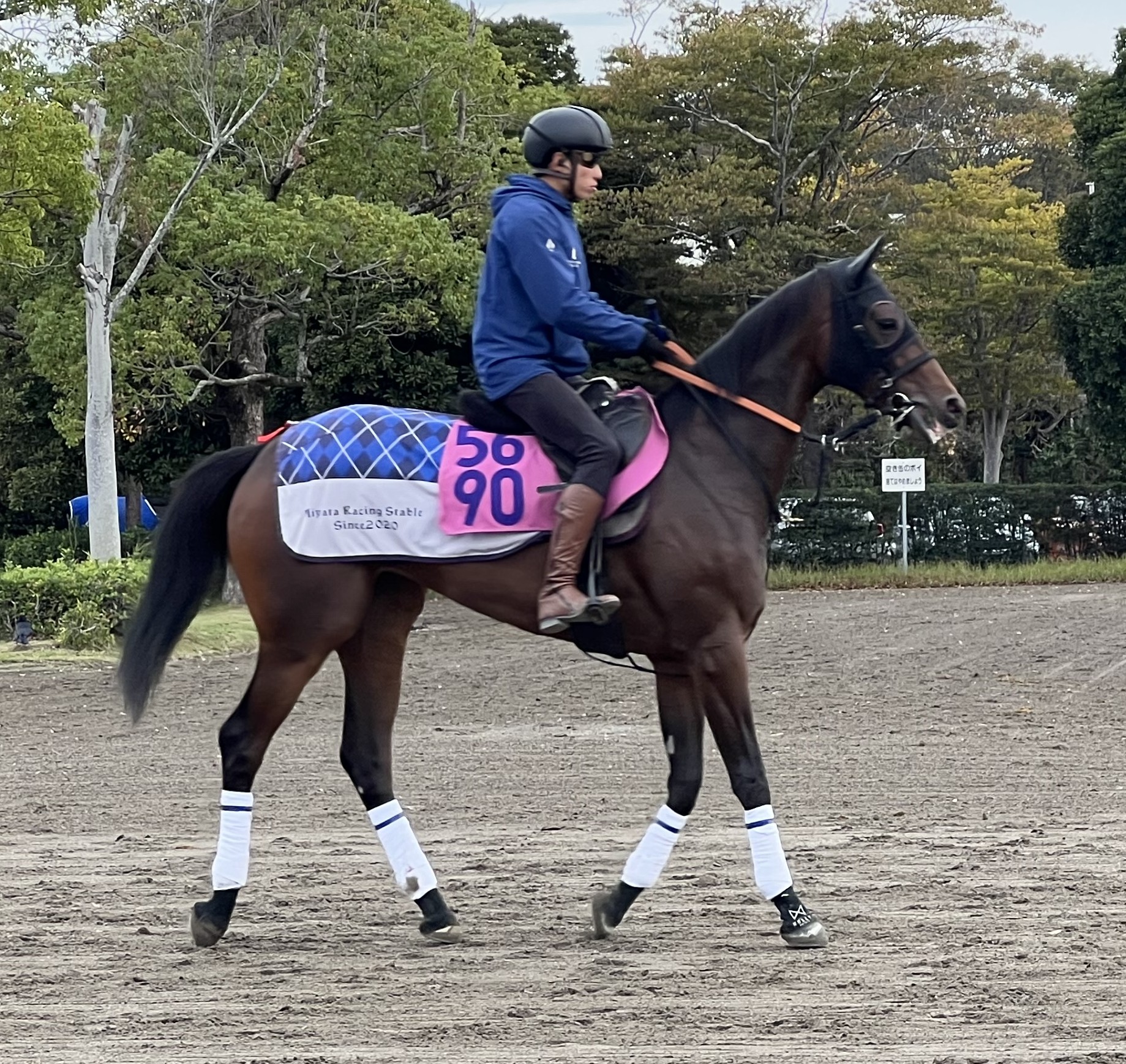 画像サムネイル