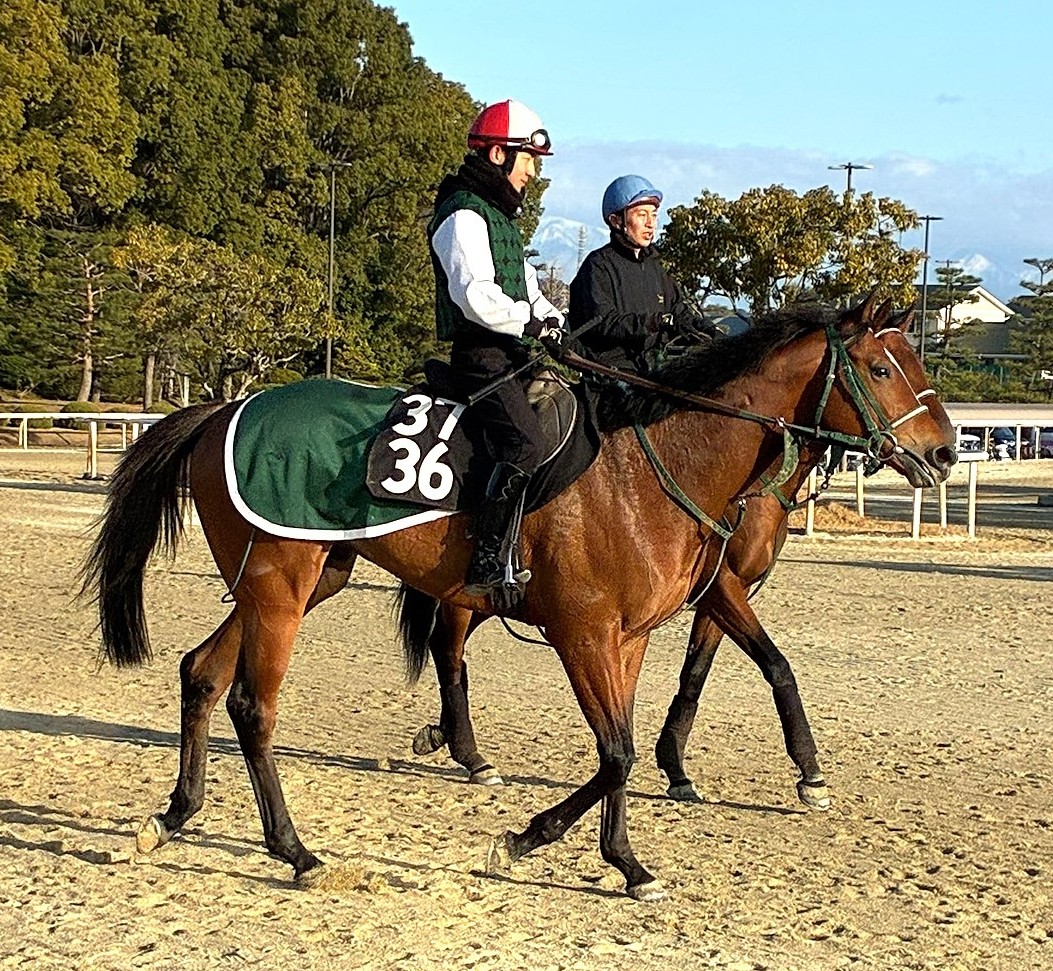 画像サムネイル