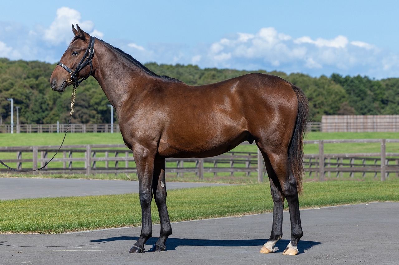 画像サムネイル