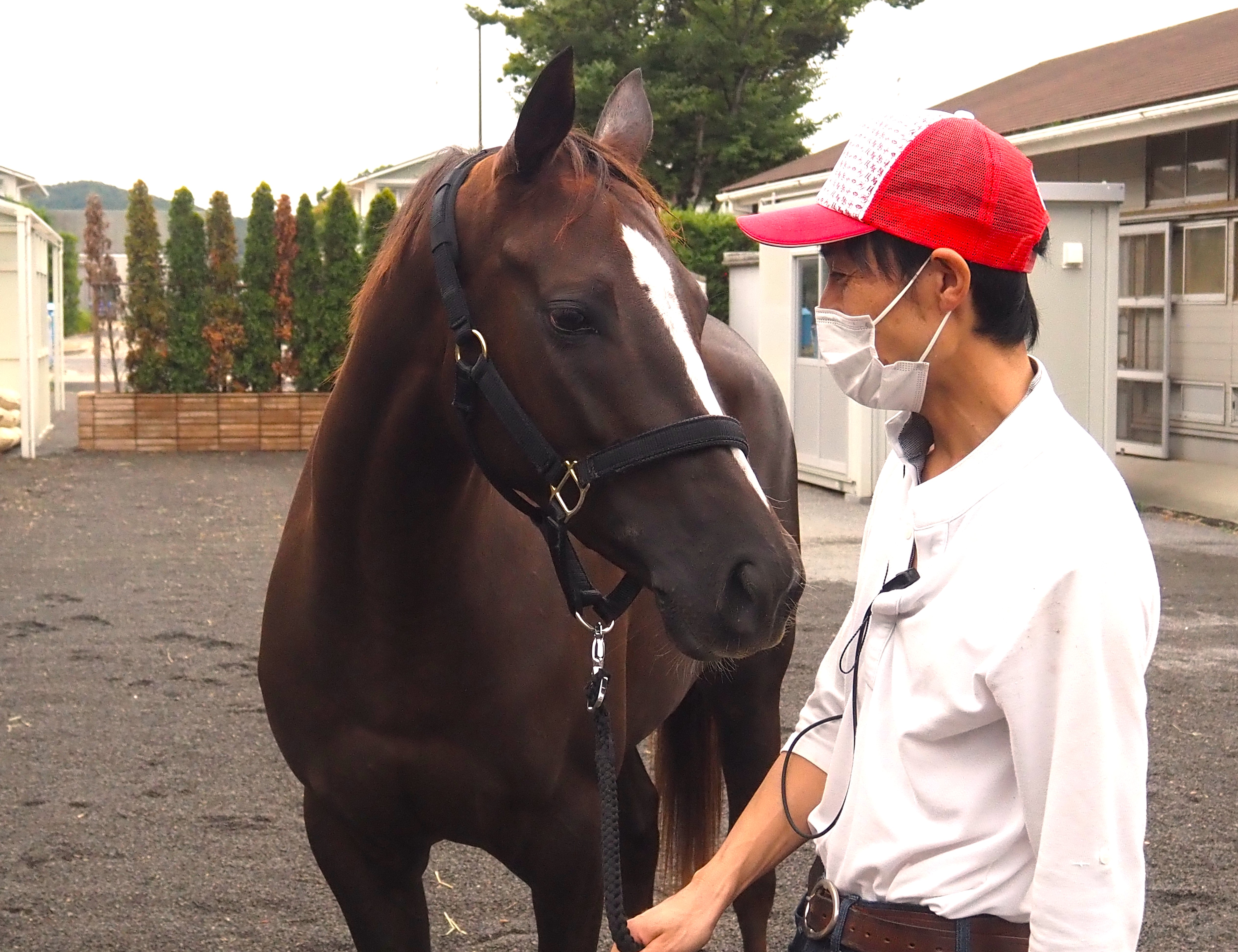 画像サムネイル