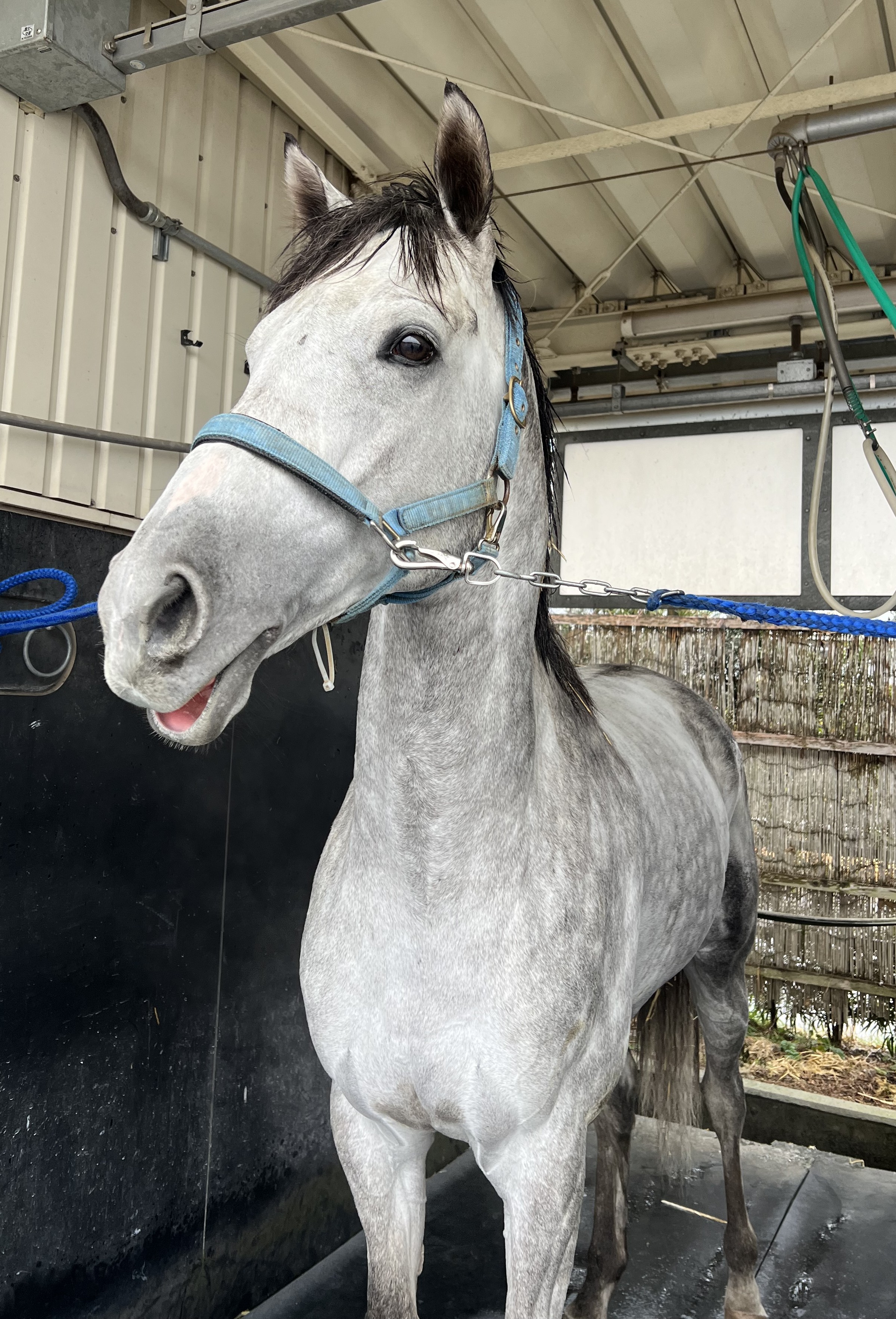 画像サムネイル