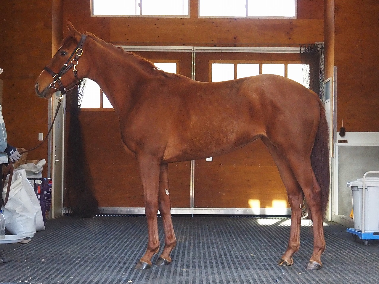 画像サムネイル