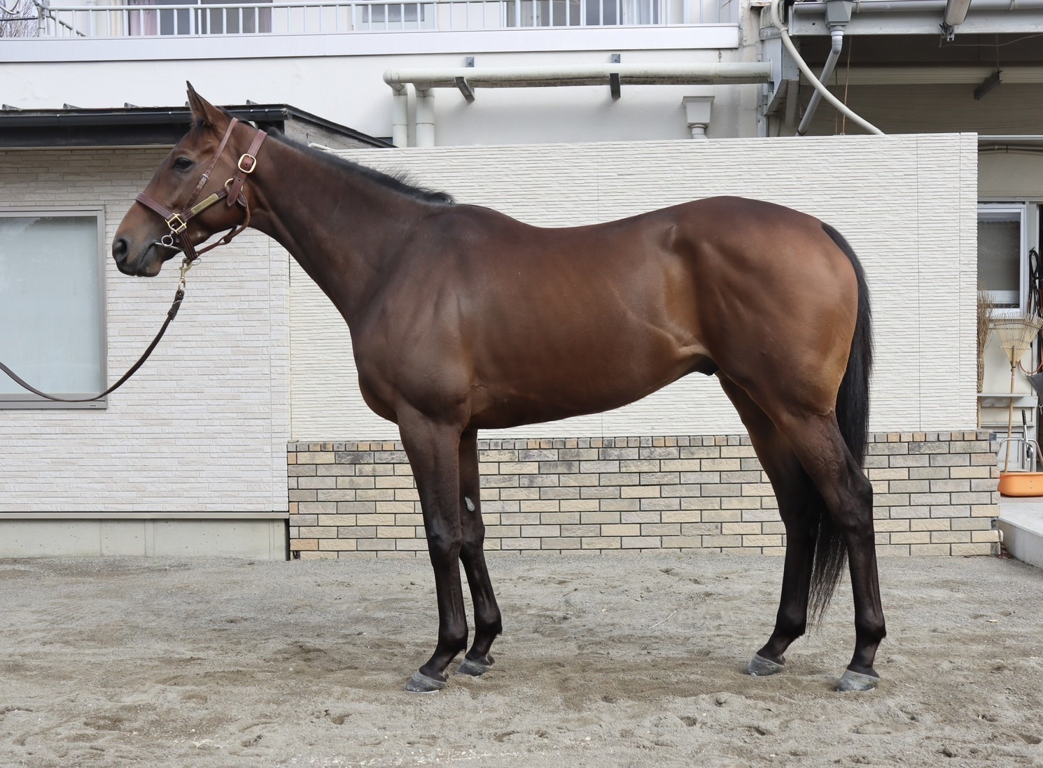 画像サムネイル