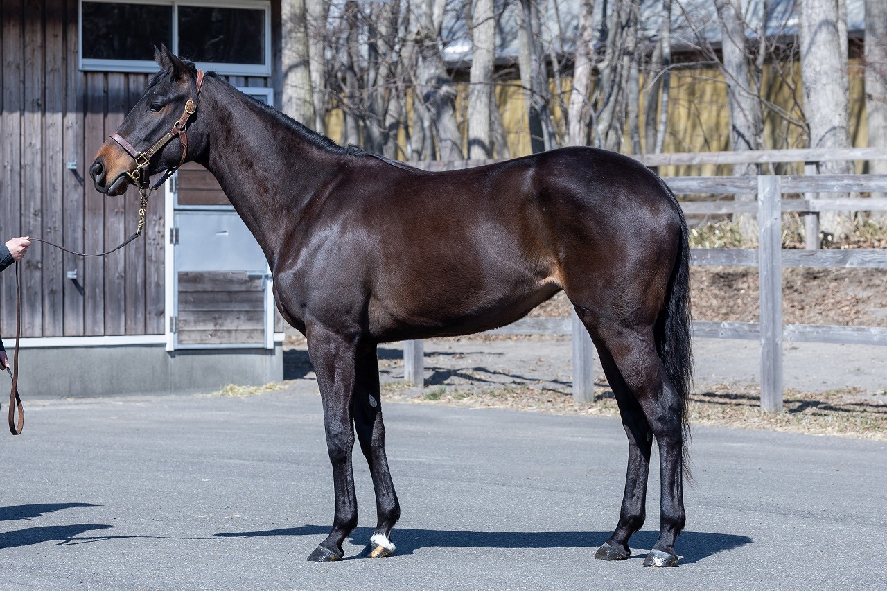 画像サムネイル