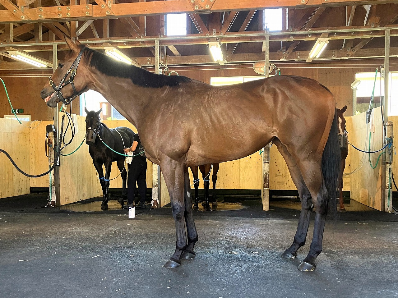 画像サムネイル