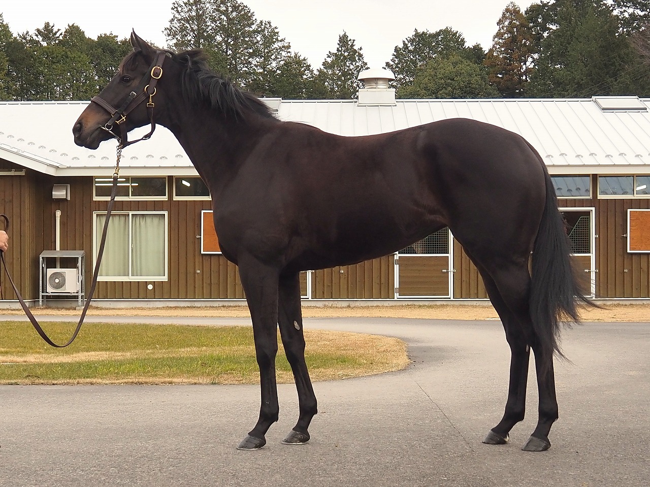 画像サムネイル