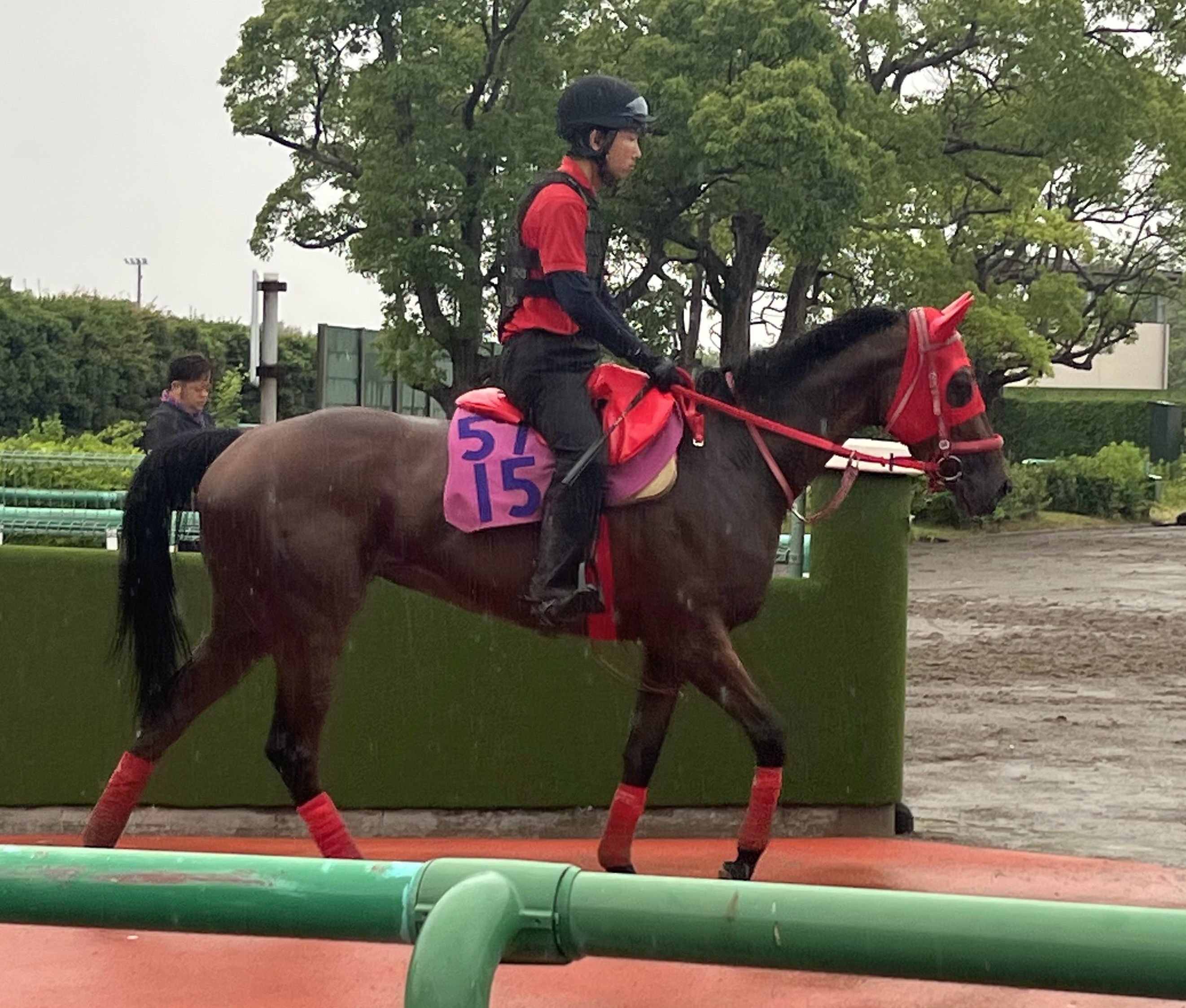 画像サムネイル