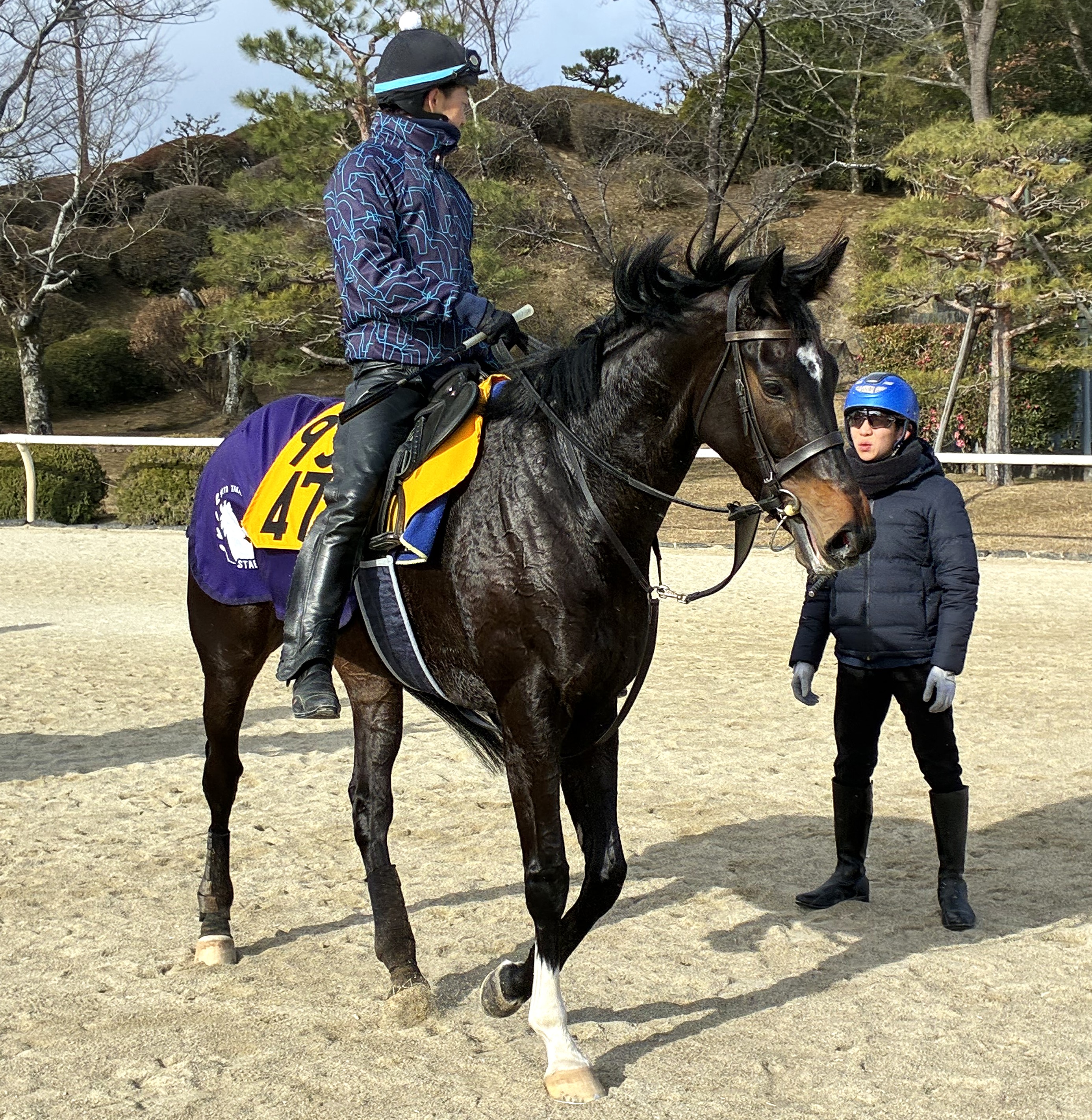 画像サムネイル