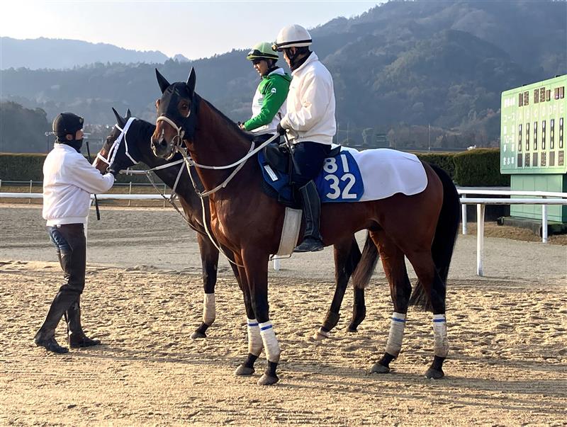 画像サムネイル