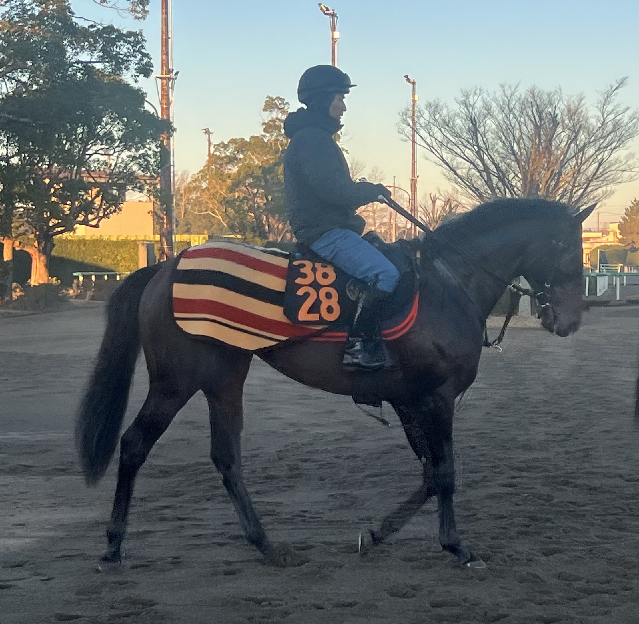 画像サムネイル