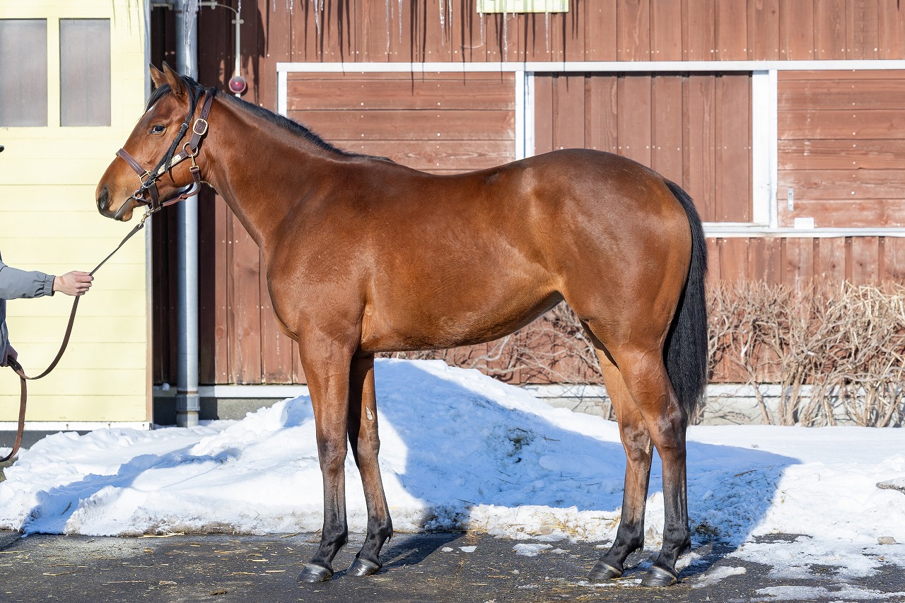 画像サムネイル