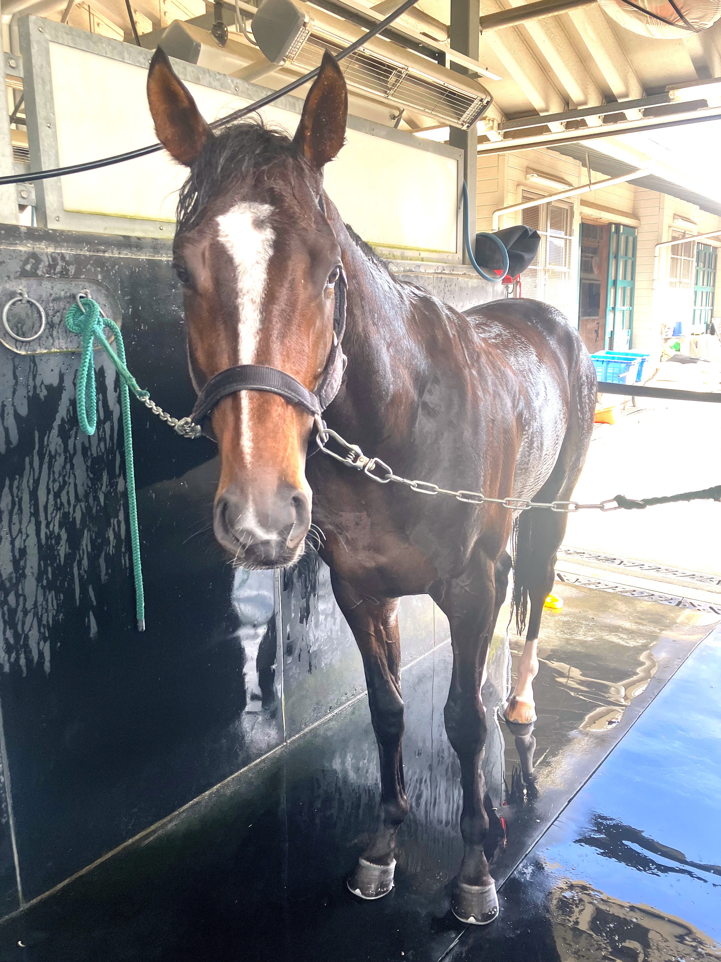 画像サムネイル