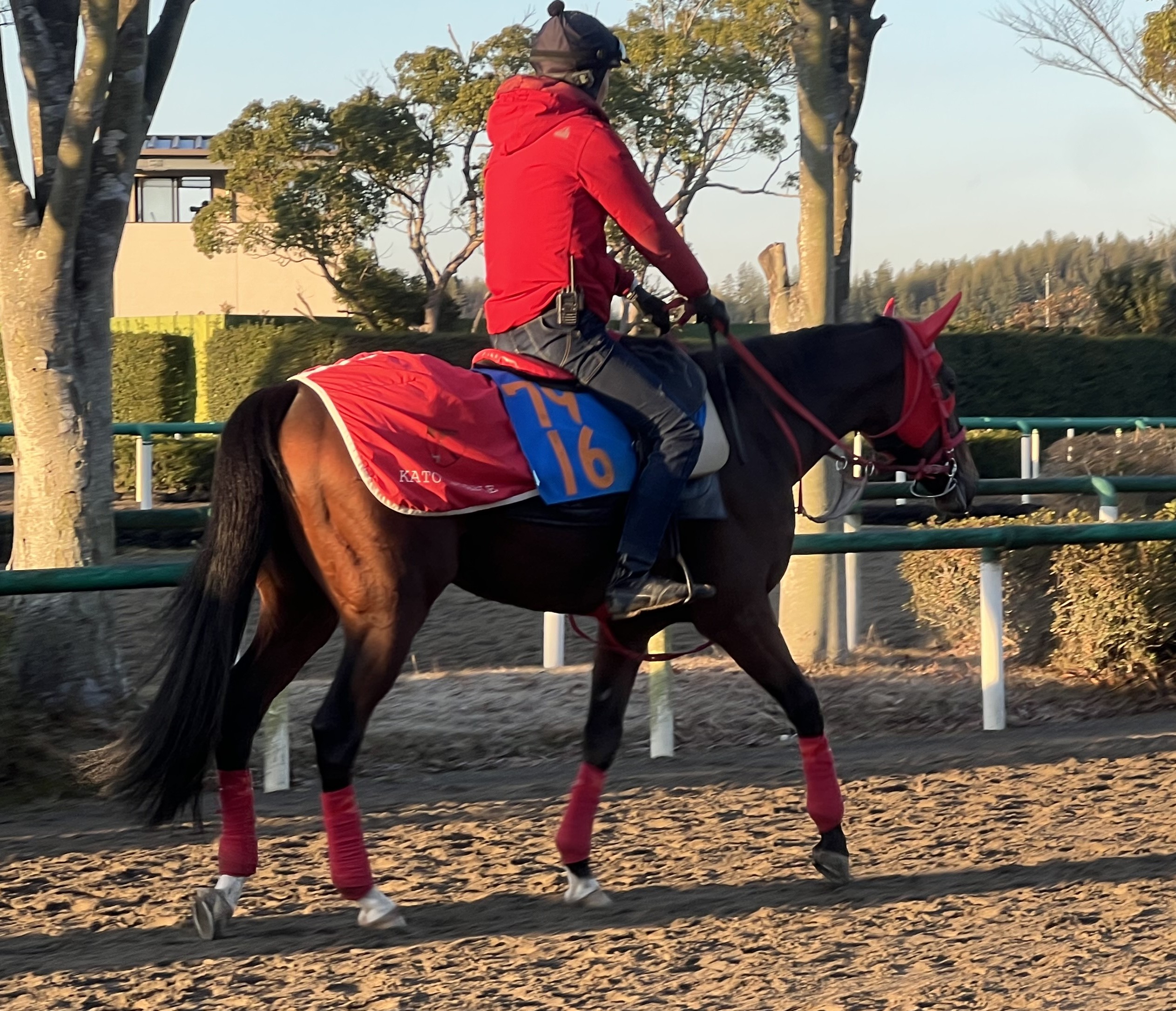 画像サムネイル