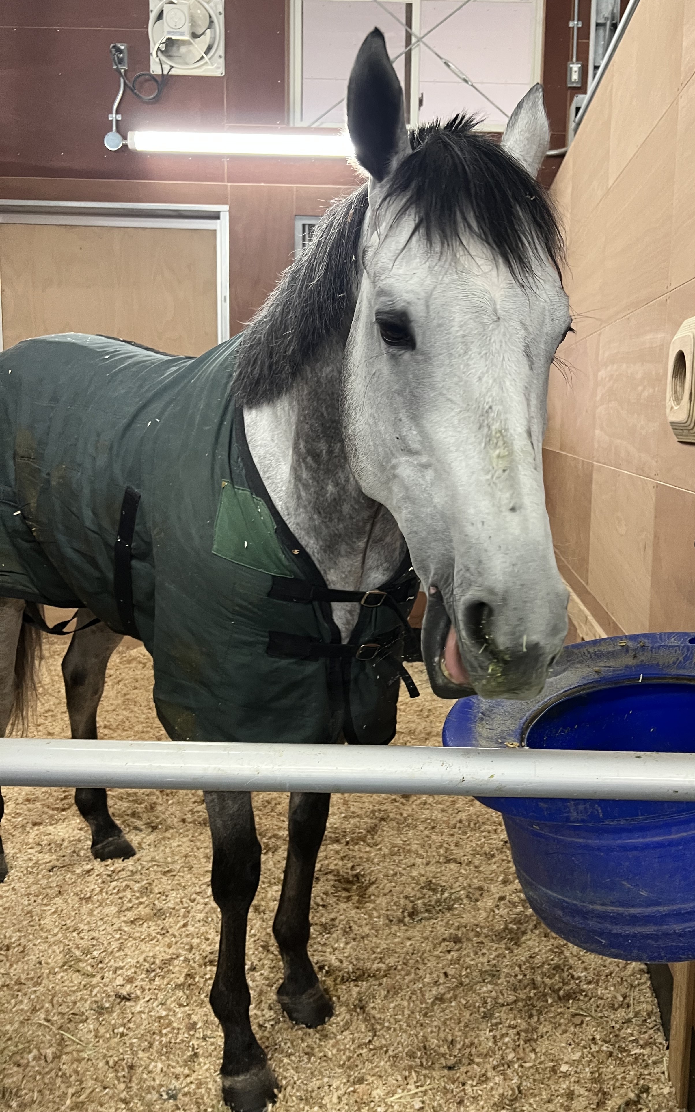 画像サムネイル