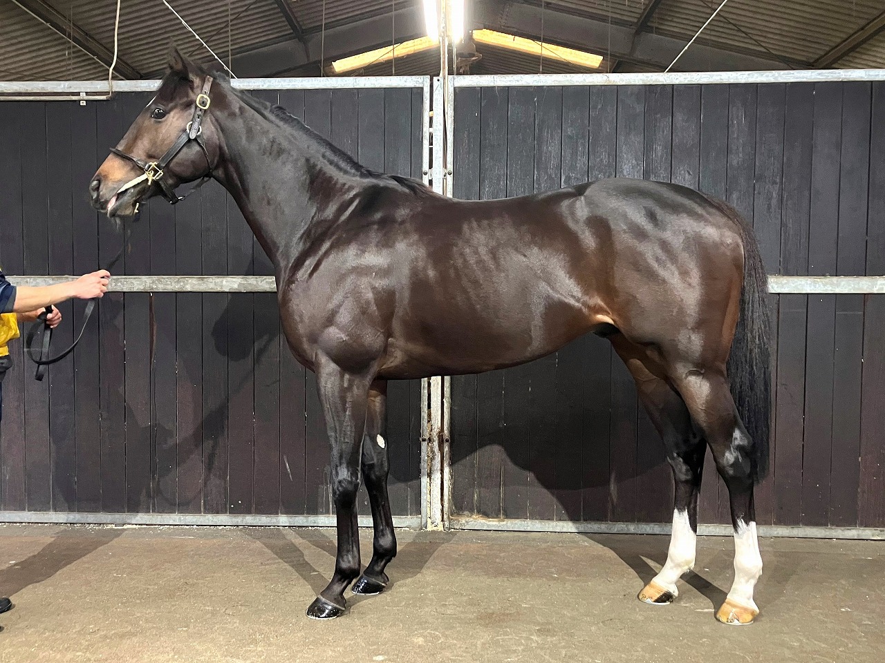 画像サムネイル