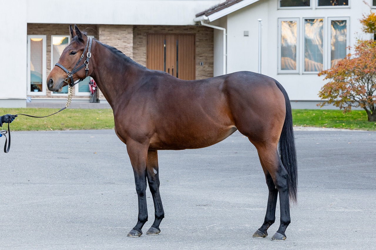 画像サムネイル