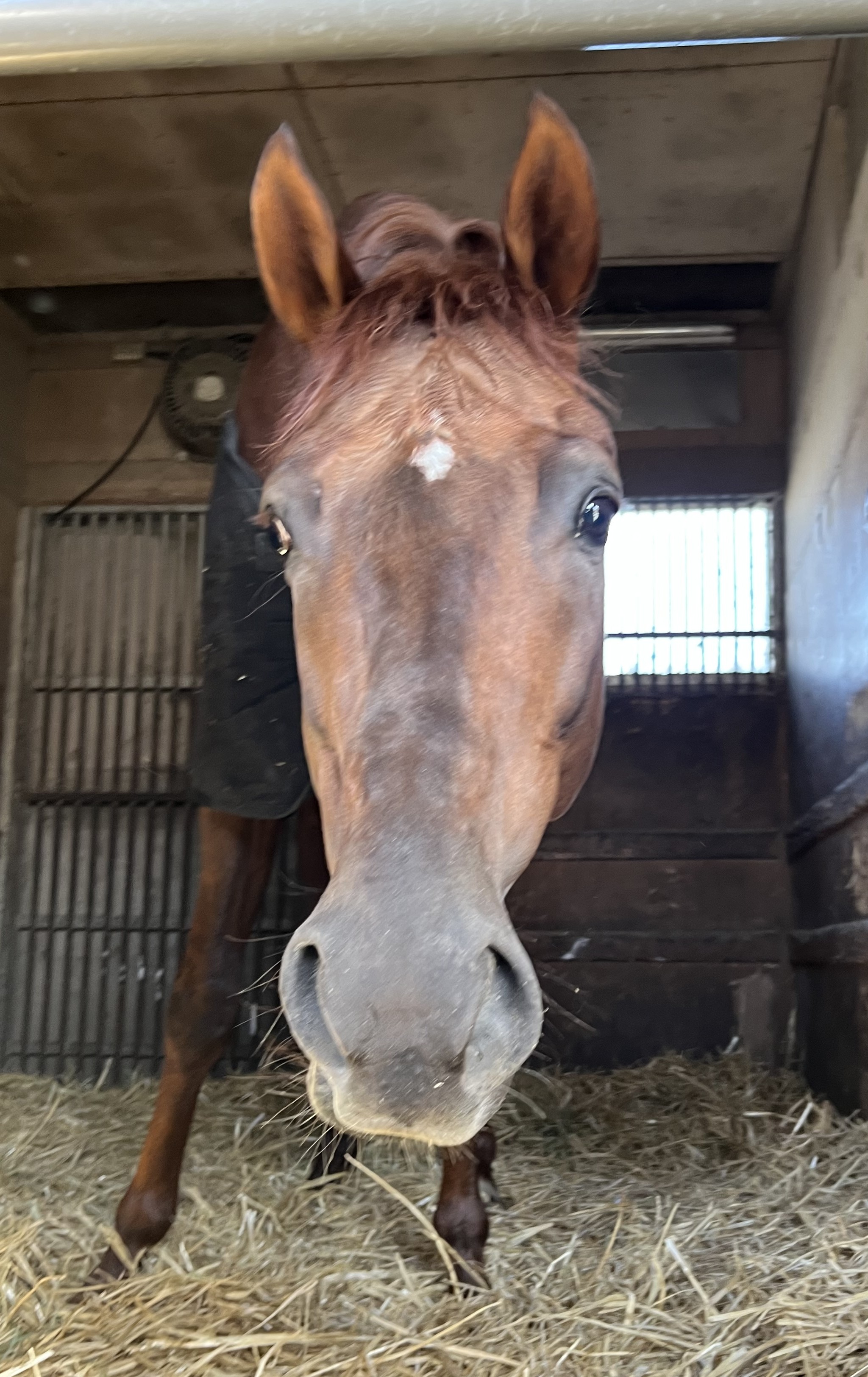 画像サムネイル