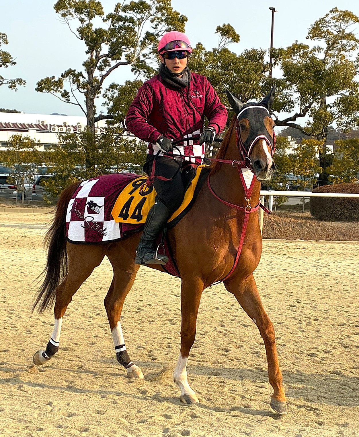 画像サムネイル