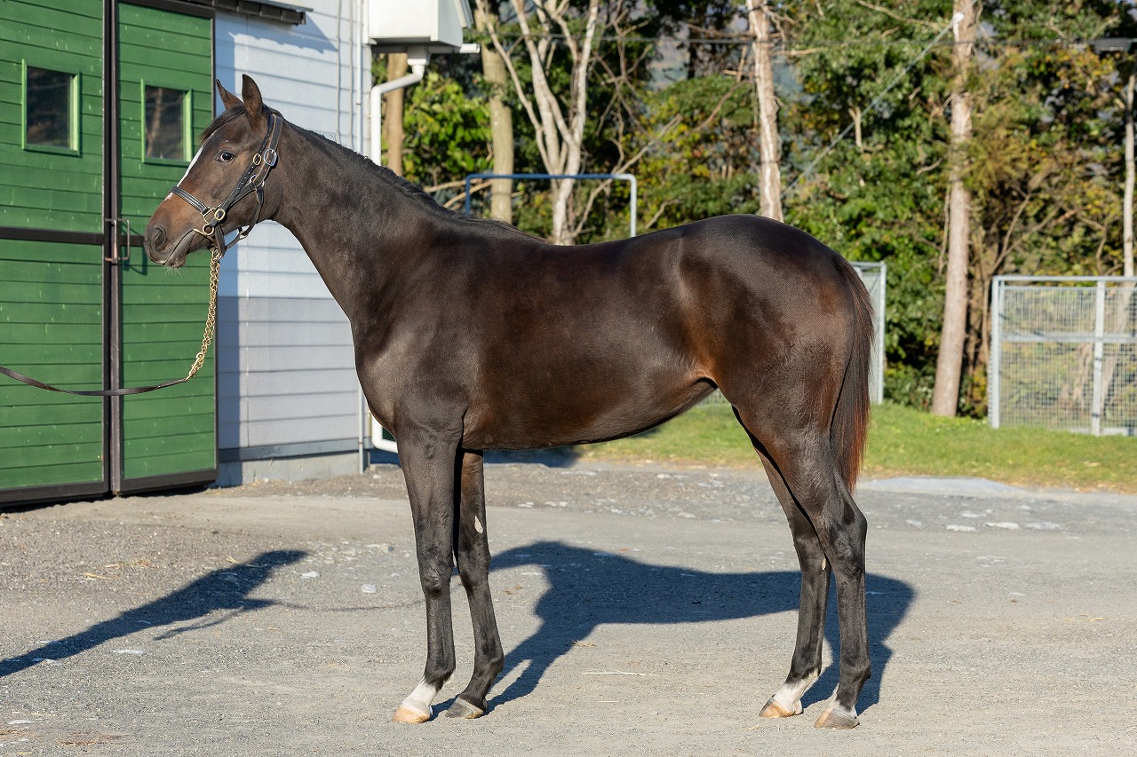 画像サムネイル