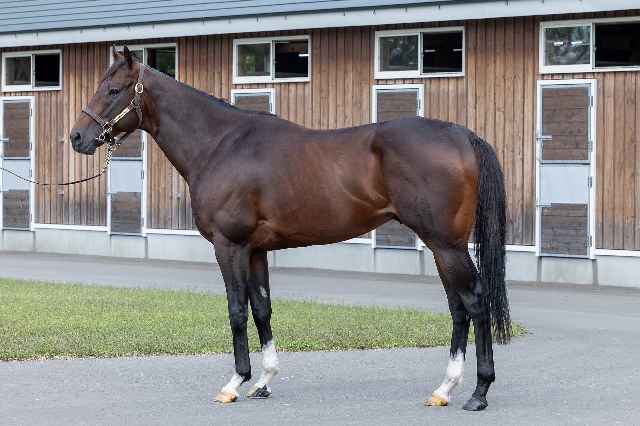 画像サムネイル