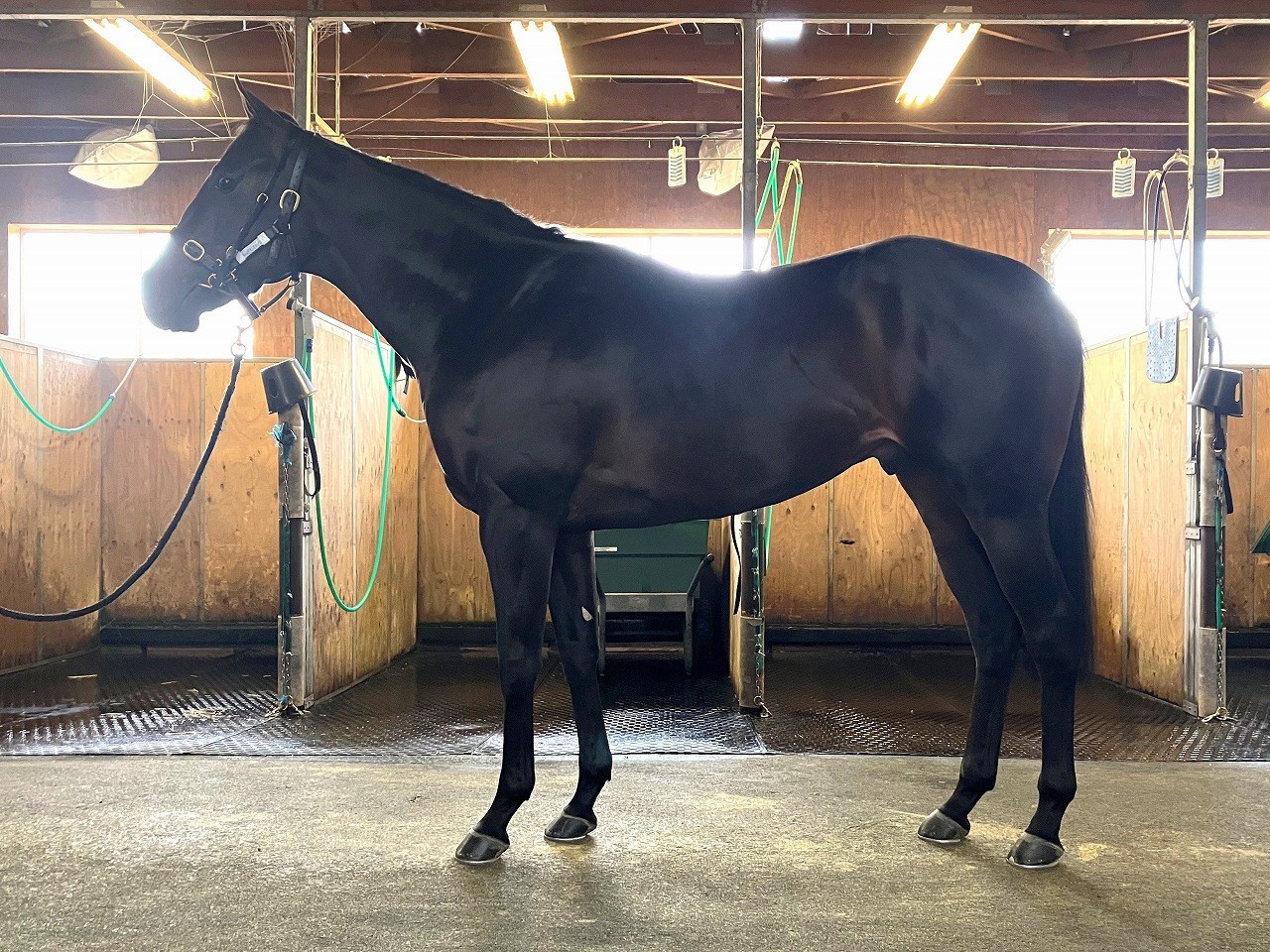 画像サムネイル