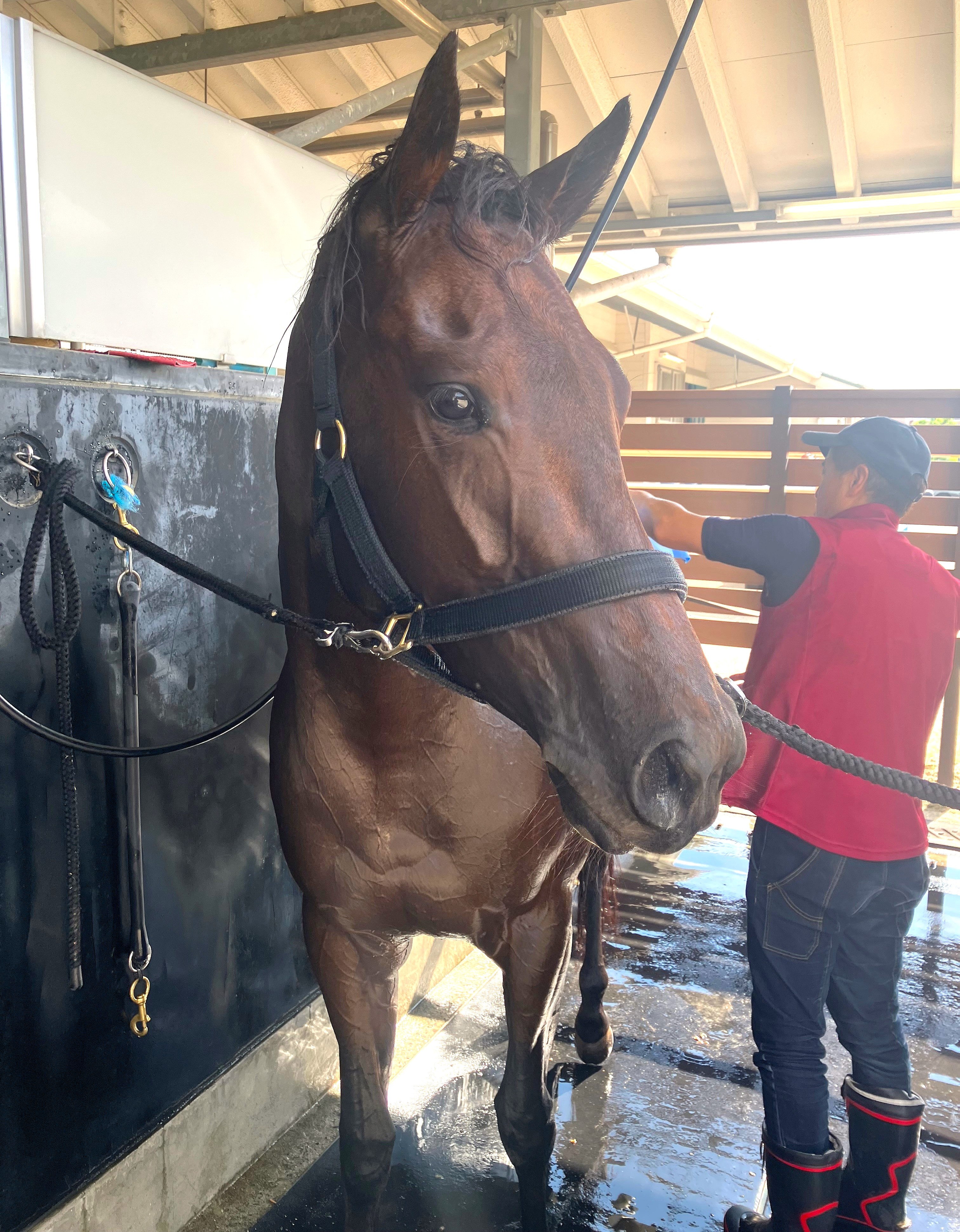 画像サムネイル