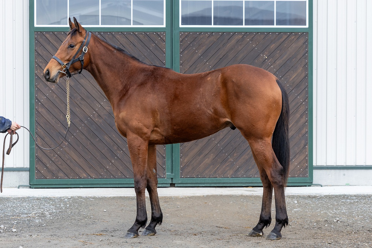 画像サムネイル