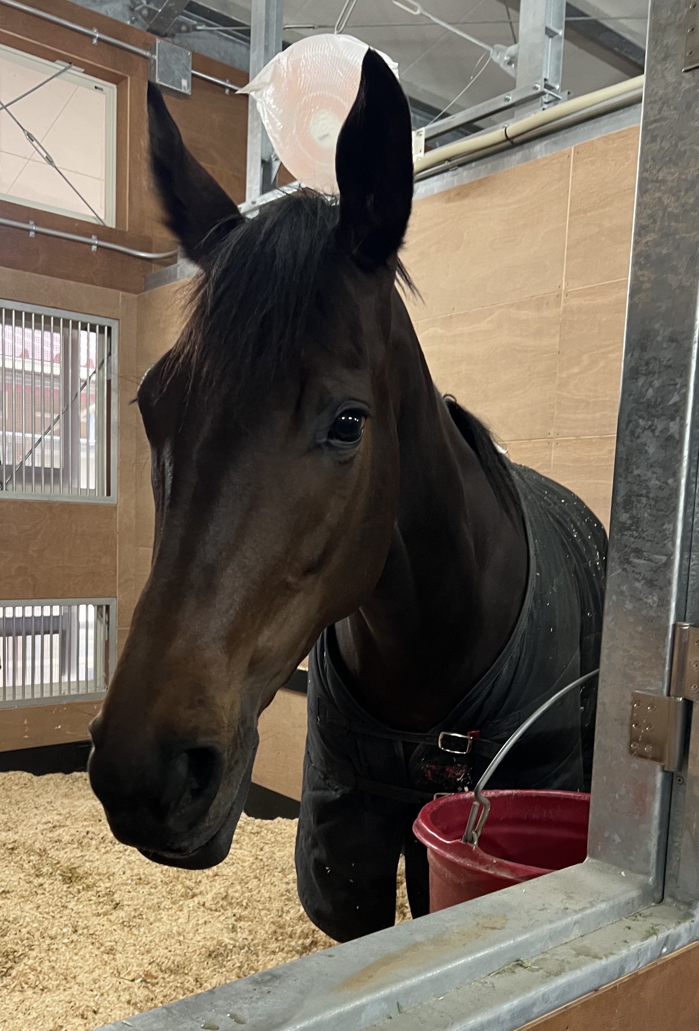 画像サムネイル