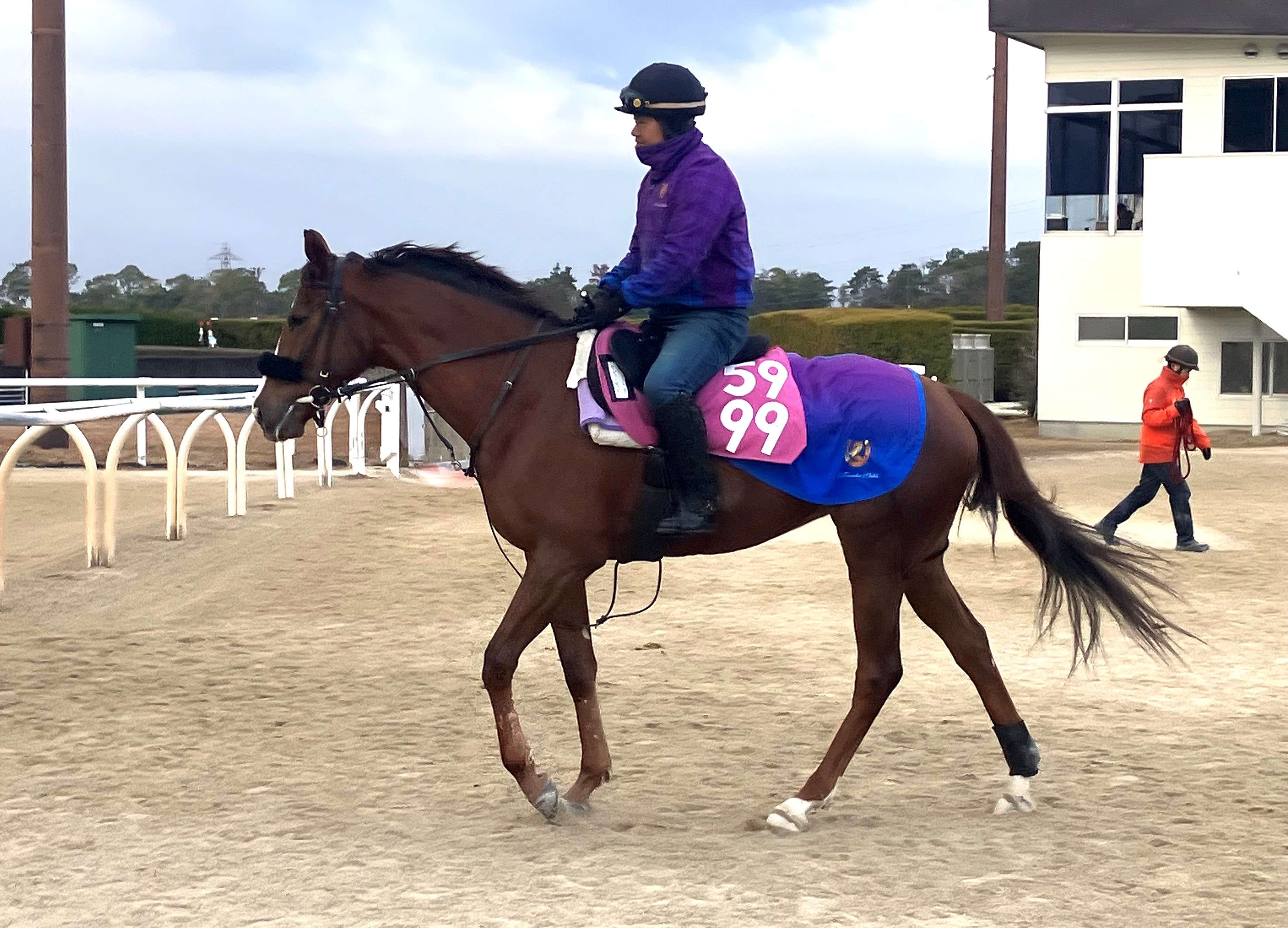 画像サムネイル