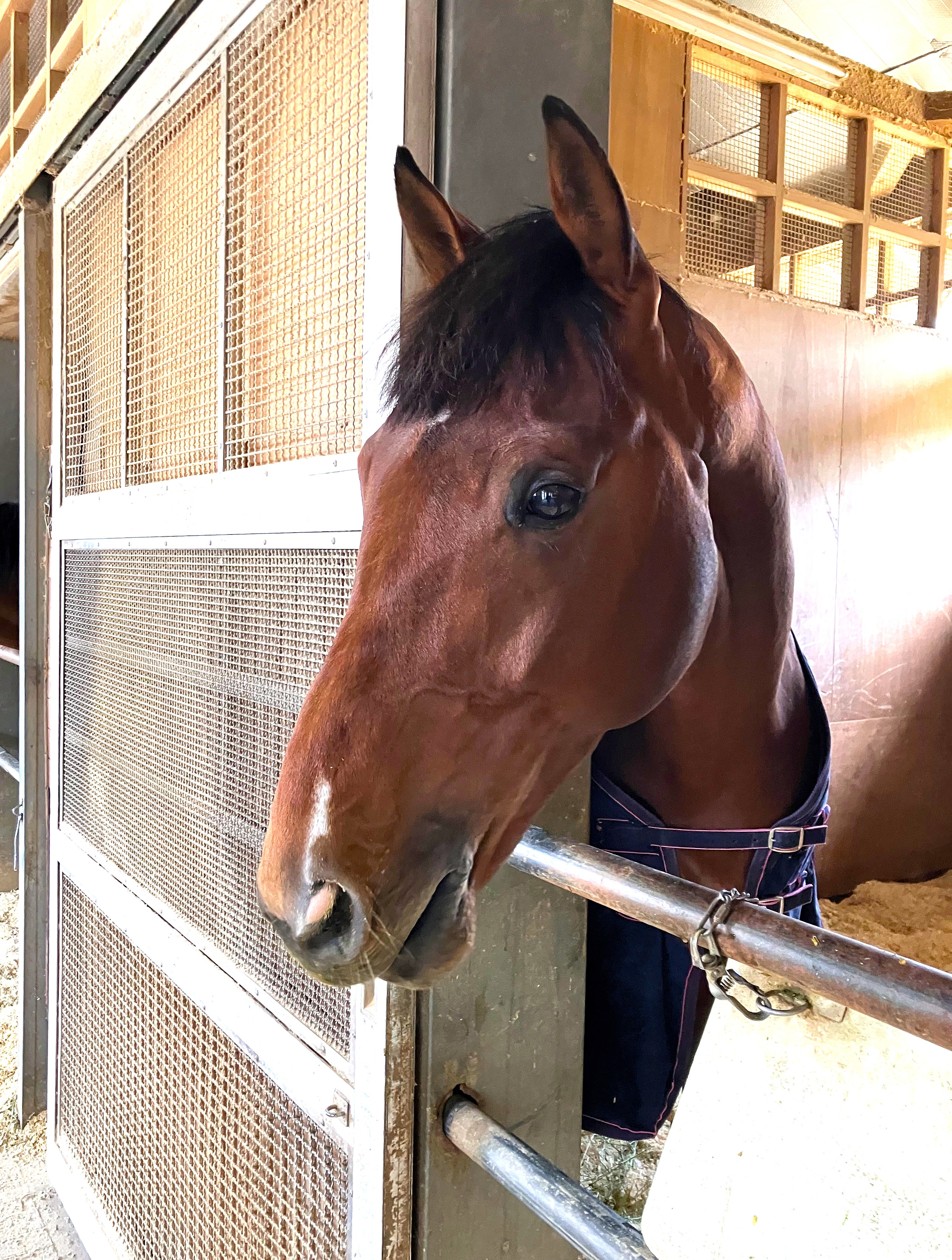 画像サムネイル