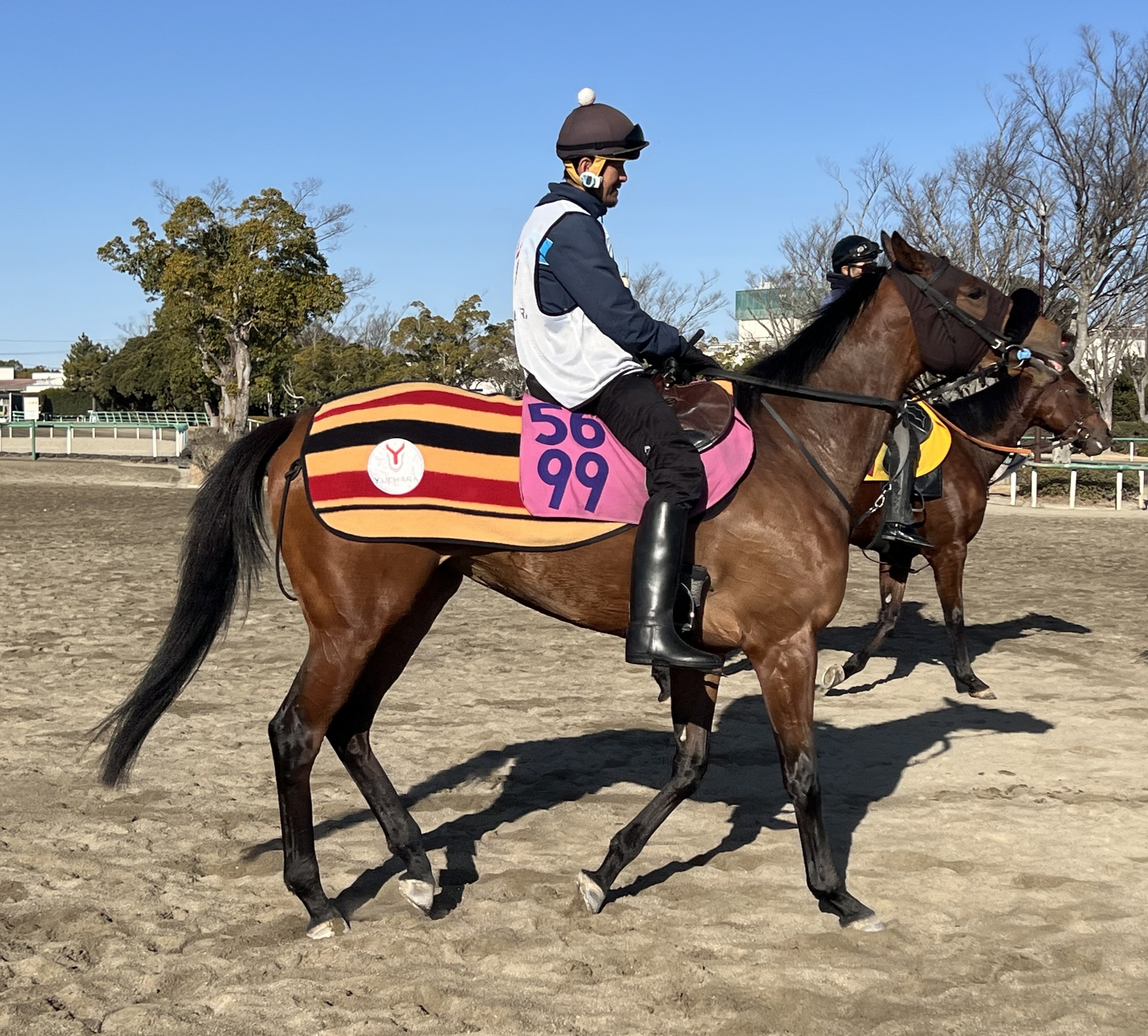 画像サムネイル