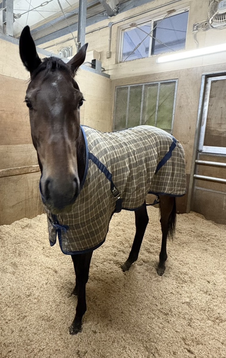 画像サムネイル