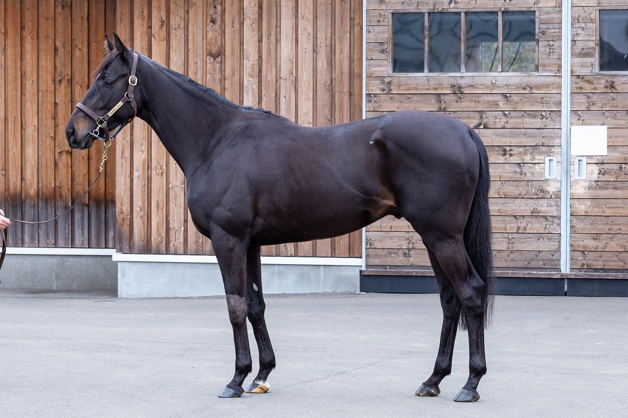 画像サムネイル