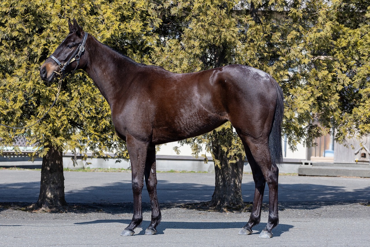 画像サムネイル