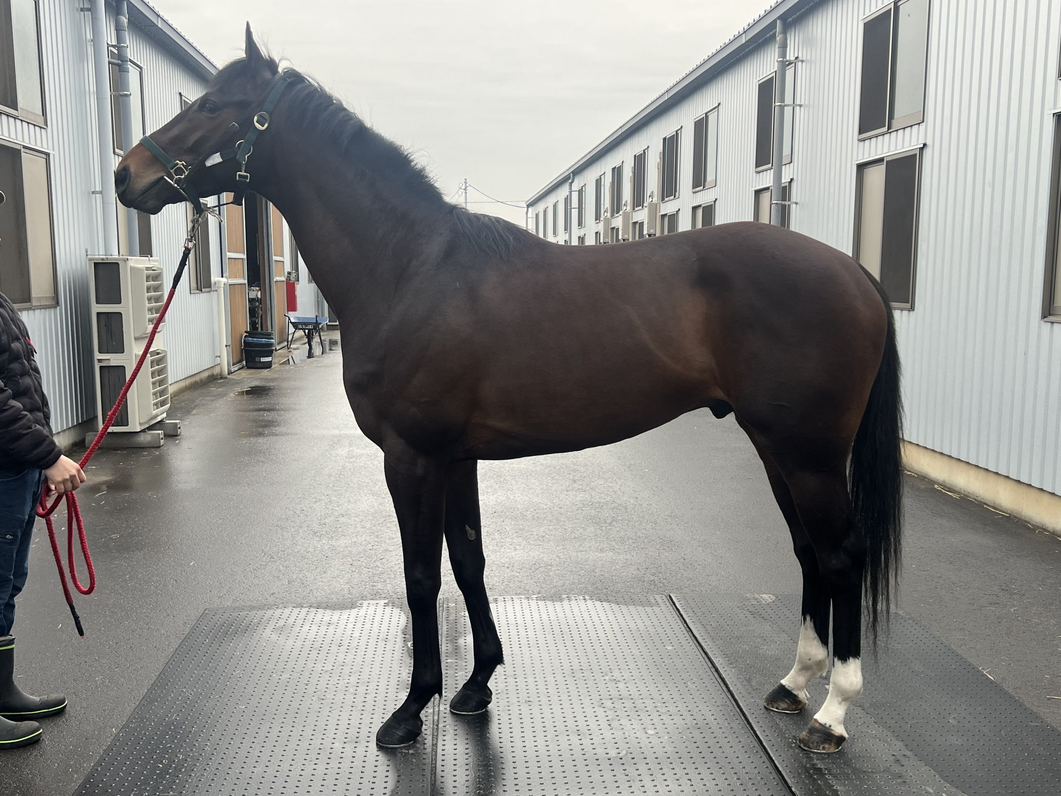 画像サムネイル