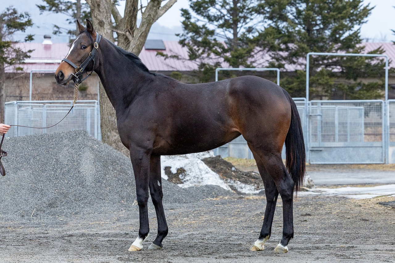 画像サムネイル