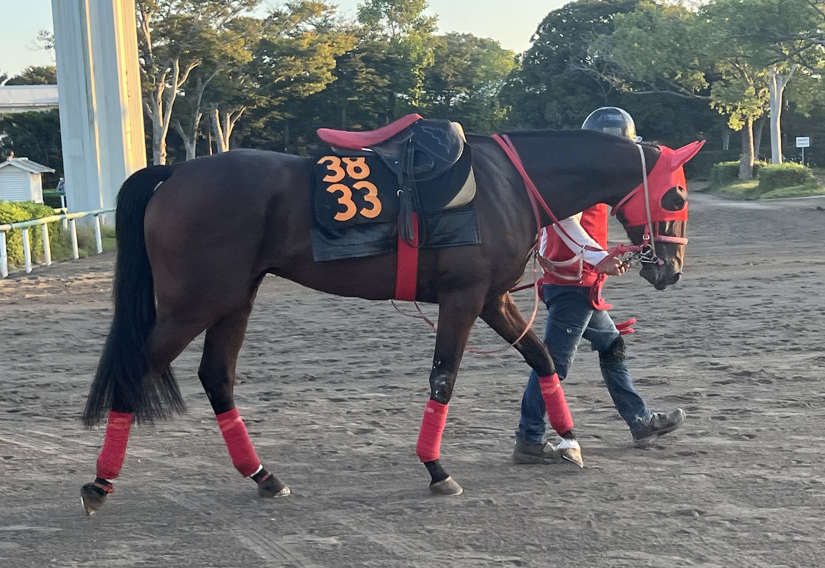 画像サムネイル