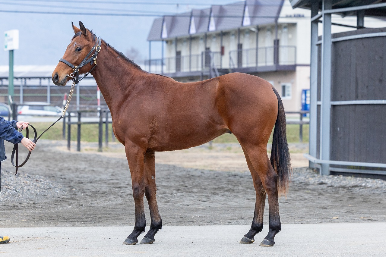 画像サムネイル