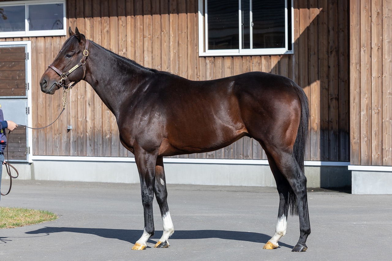 画像サムネイル