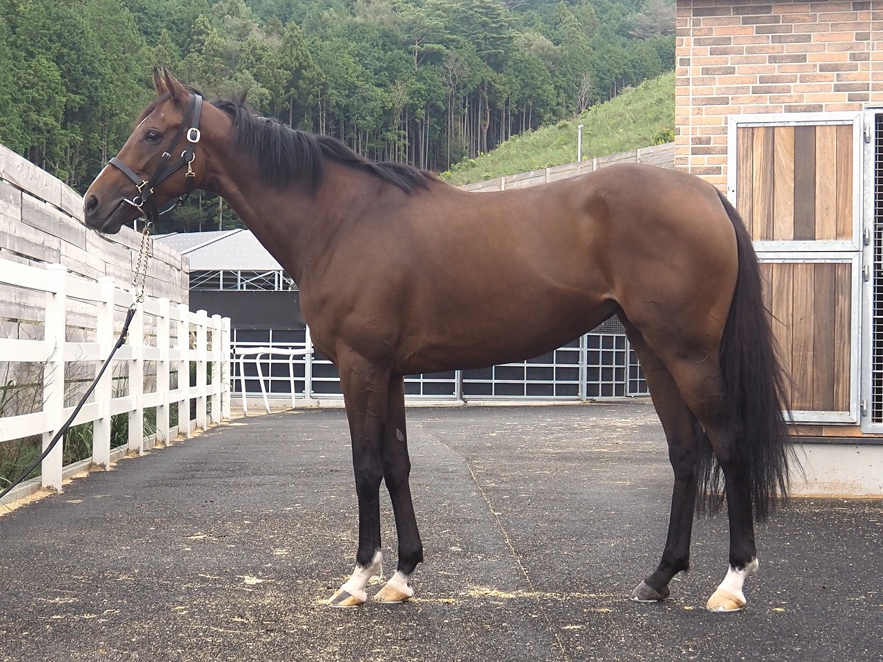 画像サムネイル