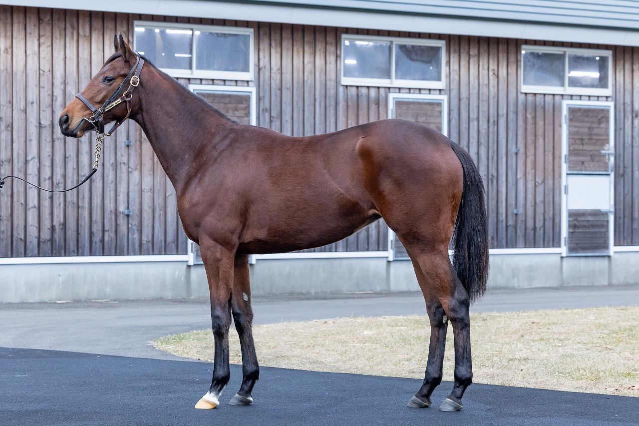 画像サムネイル