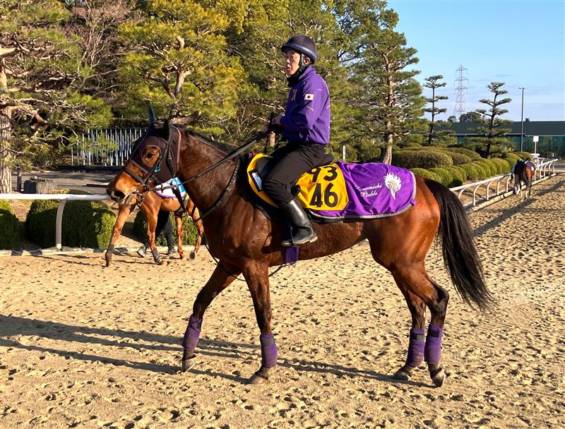 画像サムネイル