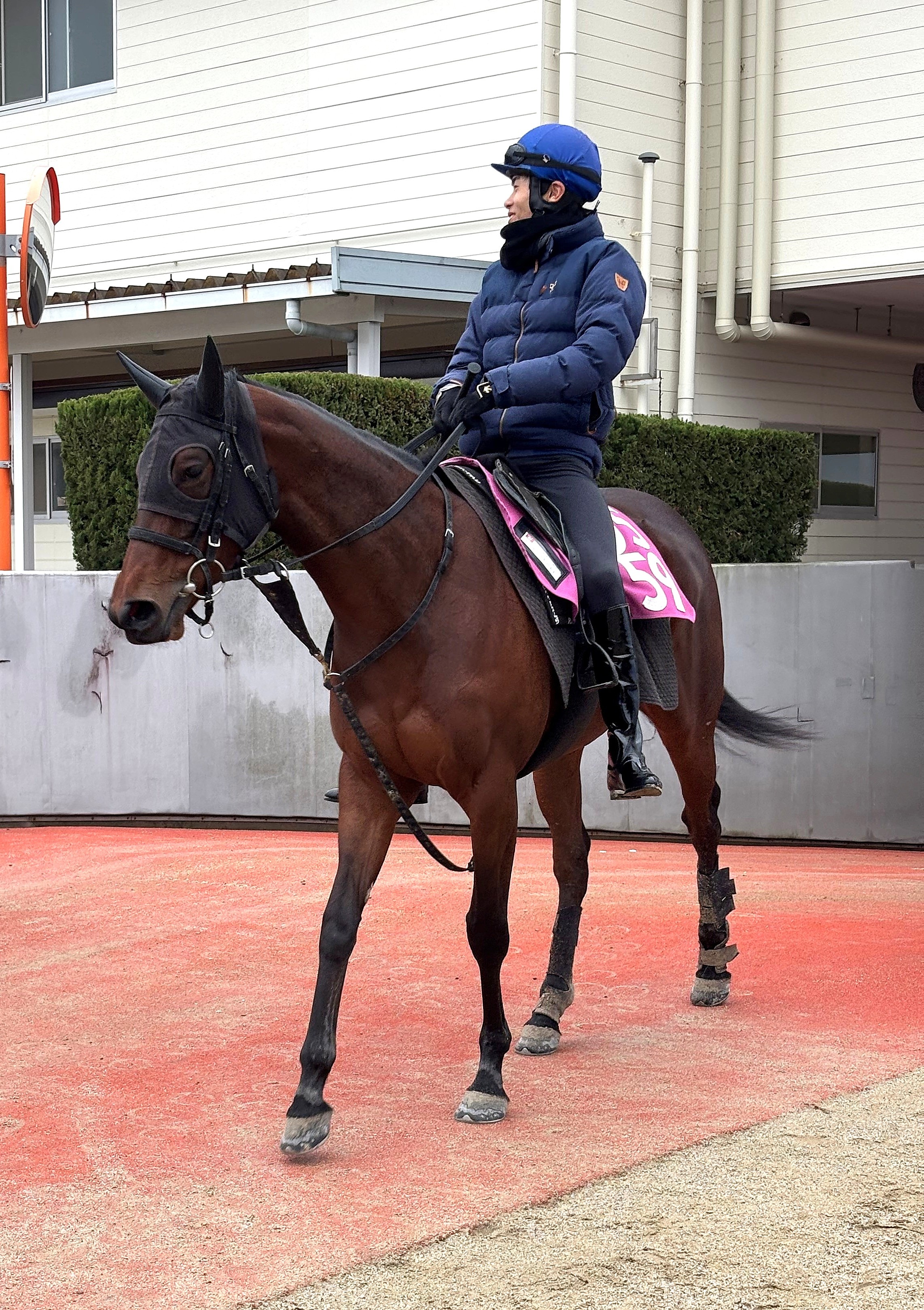 画像サムネイル