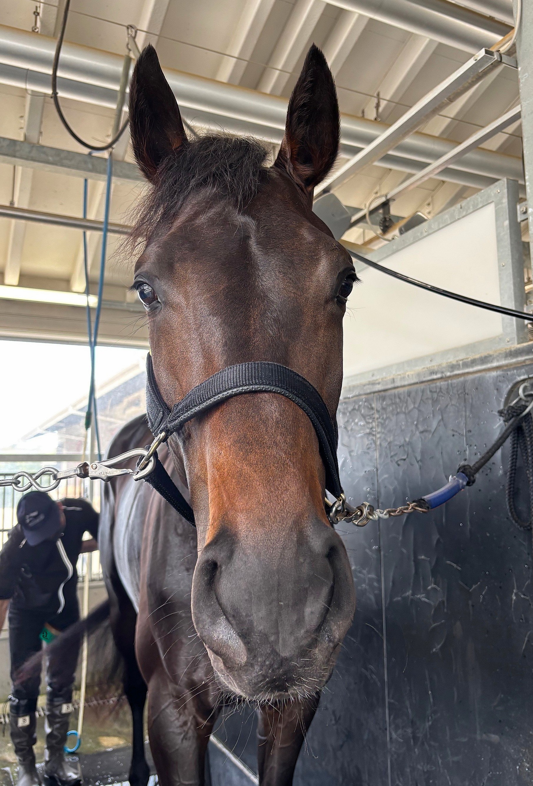 画像サムネイル